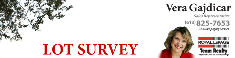Lot Survey